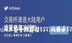 如何在Tokenim上安全地存储BSV（比特币SV）: 完整指