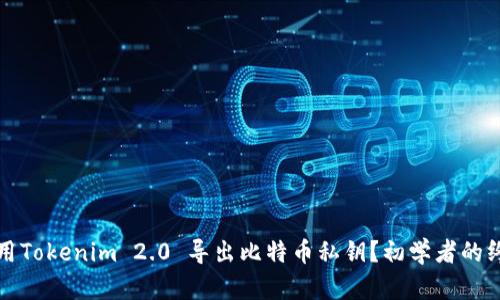 如何使用Tokenim 2.0 导出比特币私钥？初学者的终极指南