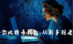 如何选择适合你比特币钱包：从新手到老鸟的终