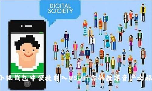 如何在手机小狐钱包中便捷转入USDT：你的数字资产之旅从这里开始！