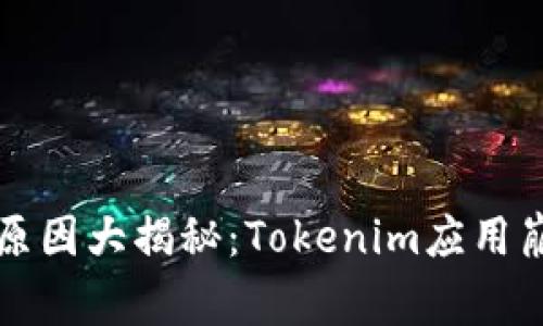 苹果手机闪退原因大揭秘：Tokenim应用崩溃的背后故事