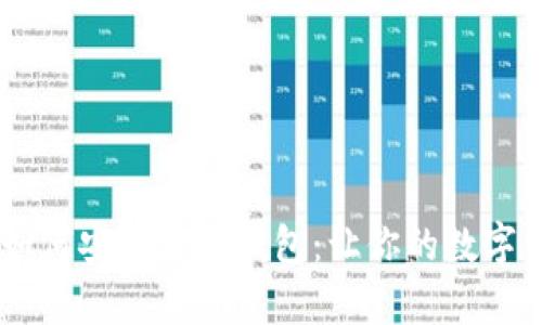 SHIB购买后如何安全存放钱包：让你的数字资产无忧无虑