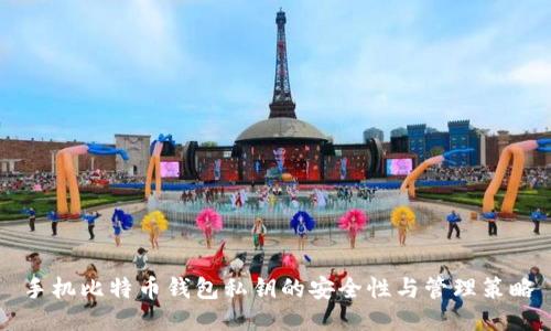 手机比特币钱包私钥的安全性与管理策略