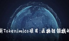深入解析Tokenimico项目：区块链领域的新机遇