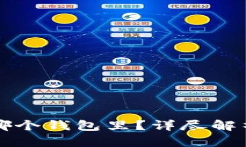 泰达币存在哪个钱包里？详尽解析与使用指南