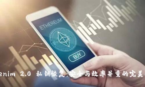 Tokenim 2.0 私钥恢复：安全与效率并重的完美指南