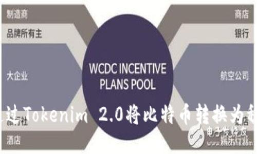 如何通过Tokenim 2.0将比特币转换为稳定币？