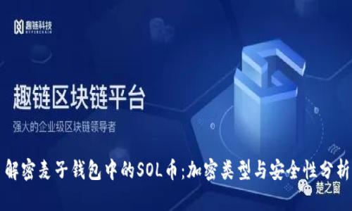 解密麦子钱包中的SOL币：加密类型与安全性分析