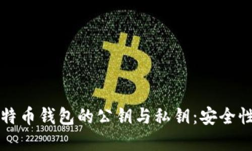 深入了解比特币钱包的公钥与私钥：安全性与管理技巧