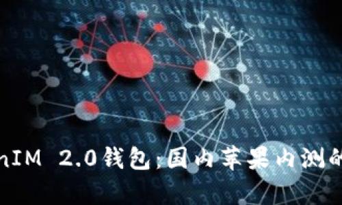 探索TokenIM 2.0钱包：国内苹果内测的全面解析