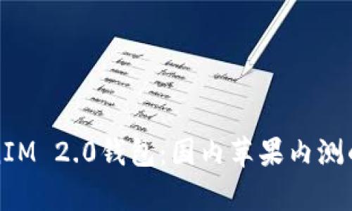 探索TokenIM 2.0钱包：国内苹果内测的全面解析