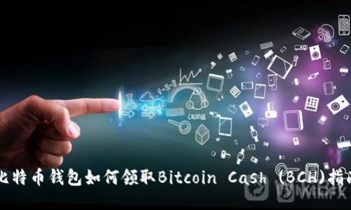 比特币钱包如何领取Bitcoin Cash (BCH)指南